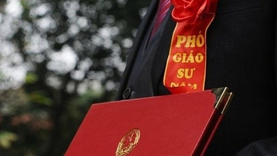 Số nhà giáo đạt chuẩn giáo sư, phó giáo sư cao gấp 1,7 lần bình quân kể từ năm 2019