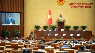La Asamblea Nacional debatió numerosas políticas educativas con motivo del Día del Maestro vietnamita, el 20 de noviembre.