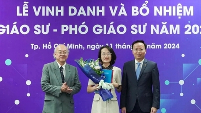 To universiteter har 105 lærere som oppfyller professor- og førsteamanuensstandardene innen 2025