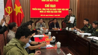 Hơn 3.000 người tại 28 xã, phường ở Đắk Lắk cần sơ tán khẩn cấp