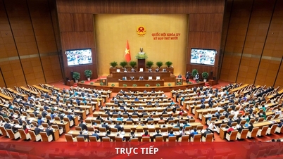 رپورٹ: قومی اسمبلی میں تعلیم و تربیت کی پالیسیوں پر بحث (20 نومبر کی صبح)