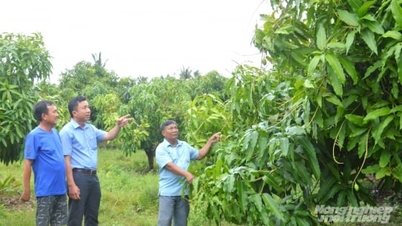 Koppla utveckling på områden för fattigdomsbekämpning i An Giang