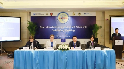 Mekong Ejderhası Kampanyası 7: Üye ülkelerde 1.000'den fazla vaka tespit edildi ve ele alındı