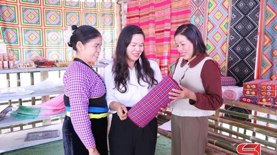 Vrouwen uit Gia Phu helpen elkaar om rijk te worden