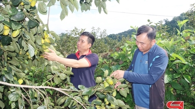 Kinveranderingen van Programma 1719