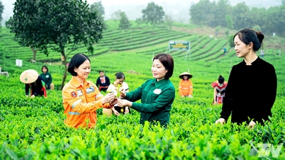 چای گل - عطر خورشید، طعم قلب