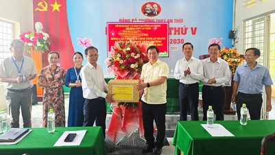 İl Halk Komitesi Başkanı Ho Van Mung, Phu Quoc'u ziyaret ederek Vietnam Öğretmenler Günü'nü kutladı