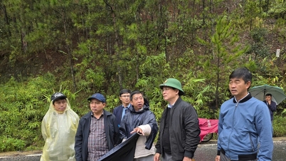 Przewodniczący Ludowego Komitetu Prowincji Lam Dong, Ho Van Muoi, otrzymał polecenie natychmiastowego zajęcia się sprawą osuwiska w Mimosa Pass.