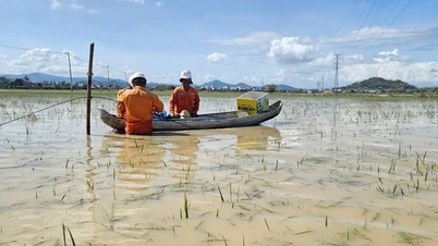 وسطی ہائی لینڈز میں 553,000 سے زیادہ صارفین سیلاب کی وجہ سے بجلی سے محروم ہو گئے۔