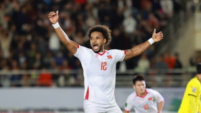 Bảng xếp hạng FIFA tháng 11 biến động nhẹ, vì sao đội tuyển Việt Nam chỉ tăng một bậc?