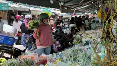 بازار گل تازه در 20 نوامبر: افزایش قیمت‌ها، تسلط سفارش‌های آنلاین