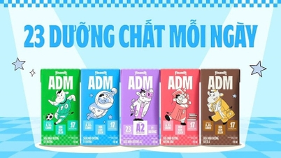 Vinamilk ADM: Xứng danh biểu tượng tuổi thơ liên thế hệ