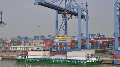 Eksport akan meningkat menjelang akhir 2025: Mengekalkan momentum pemulihan, mengembangkan pasaran