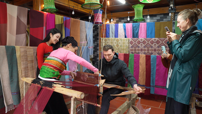 Thanh Hoa'nın dağları ve ormanlarındaki büyüleyici "canlı müzeyi" ziyaret edin