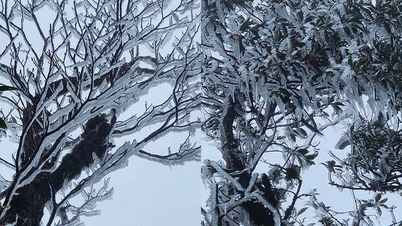 Băng giá xuất hiện sớm lạ thường ở Tà Xùa