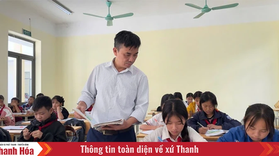 Старательно сея буквы у «врат рая» Трунг Ли