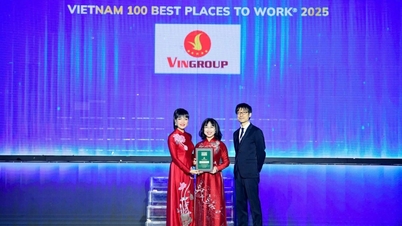 빈그룹, "베트남에서 일하기 좋은 10대 기업"에 선정