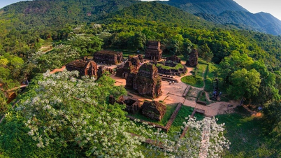 Ενώστε τα χέρια σας για να προστατεύσετε το οικοσύστημα του δάσους My Son