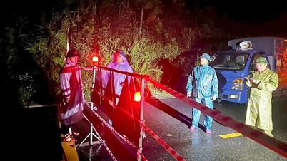 Lam Dong: Mimosa Geçidi'nde heyelan meydana geldi, 12 kişi acilen tahliye edildi