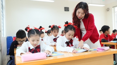 الاحتفال بيوم المعلم الفيتنامي 20 نوفمبر: تكريم مكانة المعلمين