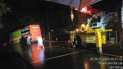 45人乗りのバスがミモザ峠で難を逃れる