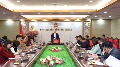 Vice ordföranden för den provinsiella folkkommittén arbetade tillsammans med departementen och filialerna för att korrigera de rättsdokument som justitieministeriets inspektionsgrupp påpekade.