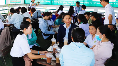 Tư vấn việc làm, chính sách việc làm và học nghề cho hơn 242.000 lượt lao động