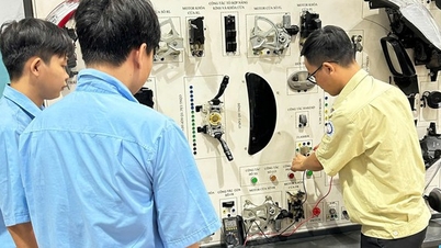 Young "teacher" with a change from making money to teaching