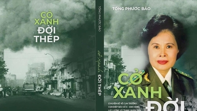 El escritor Tong Phuoc Bao: "No creo personajes que sean héroes".