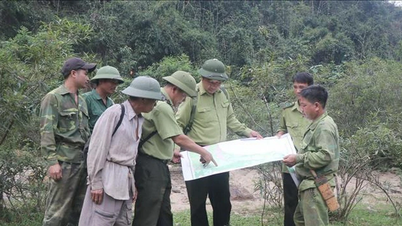 ゲアン省：プフオン生物圏保護区の「ミニチュア世界」を体験