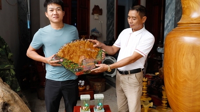 Bac Ninh: 22 more typical rural industrial products