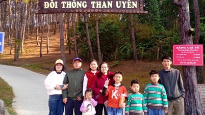 יעד חדש "נקרא": גבעת האורן טאן אויאן מוכרת כיעד תיירותי