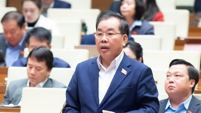 Abgeordnete der Nationalversammlung schlagen Fusionen und Umstrukturierungen der Universitäten vor.