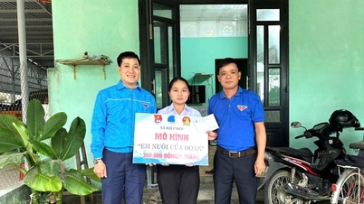 من السياسات الإنسانية