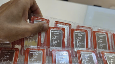 قیمت نقره امروز 20 نوامبر: نقره فو کوی شگفتی آفرید