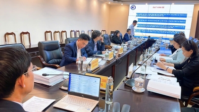 מחקר על פיתוח תהליך סינון וטיפול לחוסר בוויטמין D אצל נשים הרות המגיעות לבדיקה, ניהול הריון ולידה בבית החולים למיילדות וגינקולוגיה האי פונג