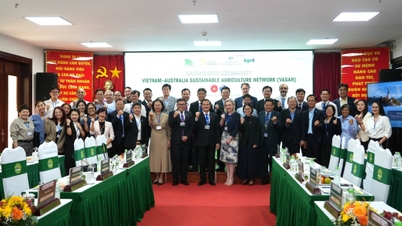Lançamento da Rede de Agricultura Sustentável Vietnã-Austrália