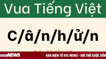 Даже «лингвистические гении» были одурачены этой загадкой