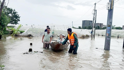 De gemeente Ninh Phuoc heeft met spoed 488 huishoudens geëvacueerd uit kwetsbare en plaatselijk overstroomde gebieden.