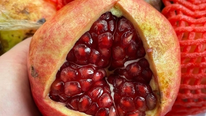 Mùa lựu đến, nhớ dùng nước ép trái lựu ngon và bổ dưỡng