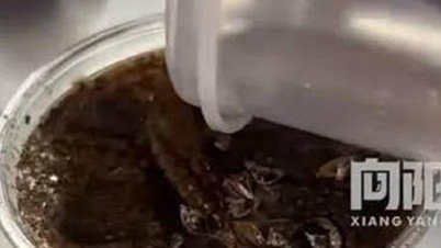 القهوة الممزوجة بمسحوق الصراصير تصبح فجأة رائجة، والشباب فضوليون لتجربتها