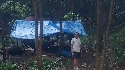 12 locuitori din Quang Ngai care lucrau contra cost în Khanh Hoa au fost înconjurați de inundații, o persoană este dispărută.