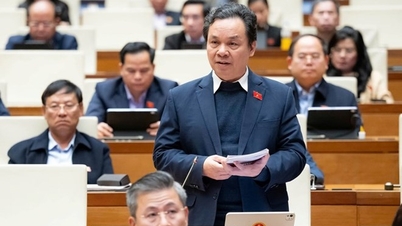 Пропозиція щодо призначення набір вчителів Департаменту освіти та навчання