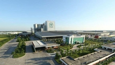 Hai Phong : Près de 30 000 mètres carrés de terrain ont été cédés à la société par actions Nam Do Real Estate Investment and Development pour la mise en œuvre du projet.