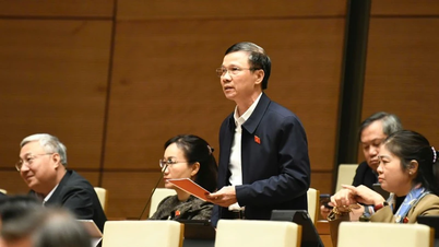 Clarifying the position, role and operational efficiency of the regional university model