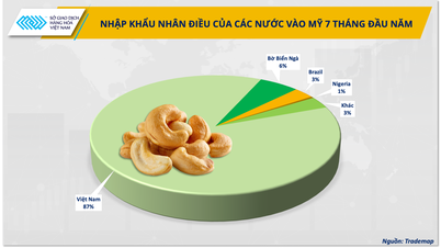 Kacang Mete Vietnam: Dari Ekspor Mentah hingga Peluang Susu Kacang di AS