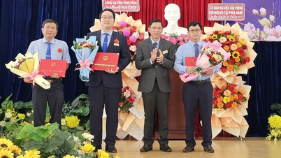 A Universidade de Educação Técnica de Vinh Long conta com mais 3 professores associados.