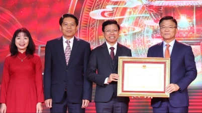 Universitetsdirektør foreslår en spesiell mekanisme for å tiltrekke seg talenter