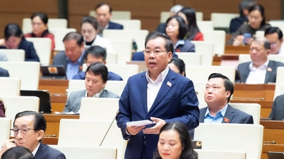 Inquiétudes quant à l'affaiblissement des universités suite aux fusions, proposition de suppression des universités régionales