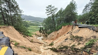 लाम डोंग में बाढ़ से नुकसान बढ़कर 90 अरब वीएनडी हो गया, कई इलाके अब भी अलग-थलग